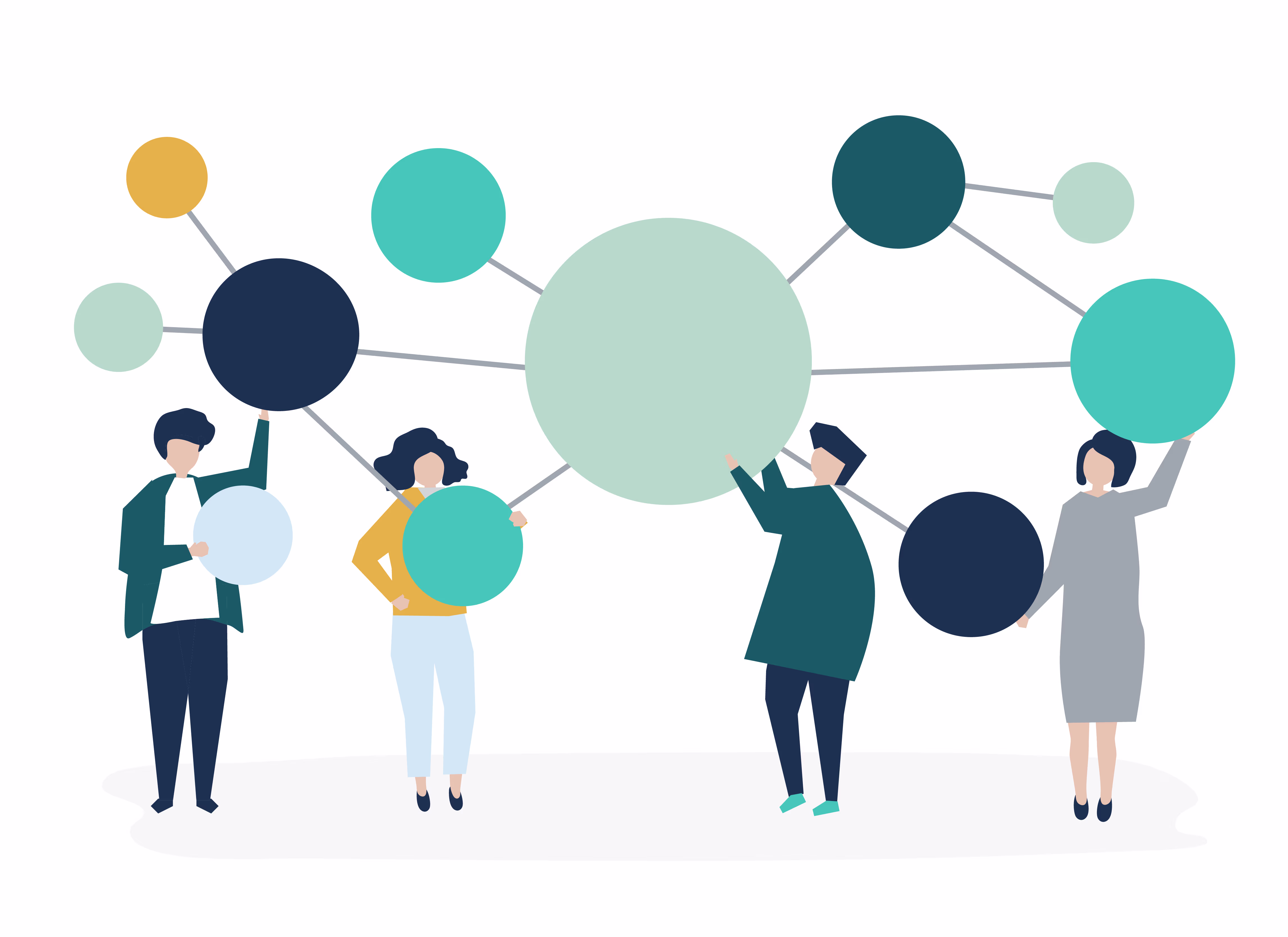 Platform Dashboard Preview